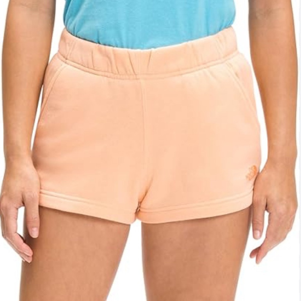 The North Face Logo shorts size L (NEW WITH TAG)